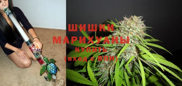 PSILOCYBIN Абдулино